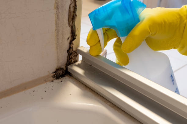 Best Mold Testing  in Victoria, MS
