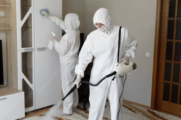 Best Mold Removal Process  in Victoria, MS