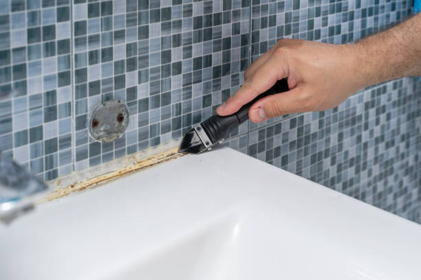 Best Mold Damage Repair  in Victoria, MS