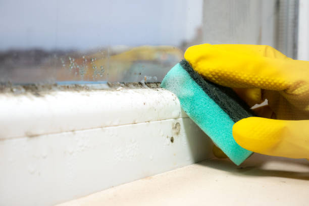 Best Mold Remediation  in Victoria, MS