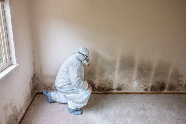 Best Certified Mold Removal  in Victoria, MS